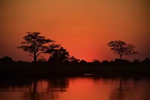 Backlit Nature Photography Prints: Red sunset, trees reflected in the water