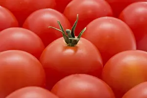 Vegetable Food Images Prints: Red tomatoes background