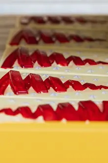 German Christmas Treats Prints: Red and yellow patterns on chocolate bars in a row