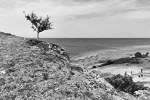 Rocky Shoreline In Europe Prints: Reef limestone cliffs, coastline