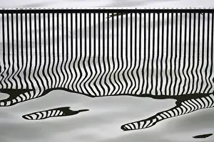 Waterfront Landscape Shots Prints: Reflection of a bridge railing in a lake, Germany