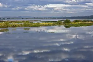 European Nature Reserve Scenery Prints: Reflection of clouds in a calm