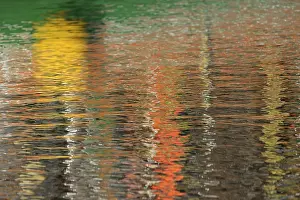 Lower Saxony Photography Prints: Reflection, colourful reflections on the water surface