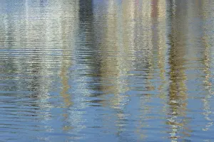 Reflections On The Water Europe Prints: Reflection, colourful reflections on the water surface