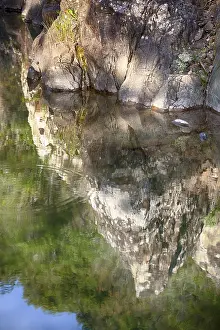 Prints of Reflection in a lake in Esterel, South of France 2019 Lake Prints: Esterel Reflection in a Lake Print, South of France 2019