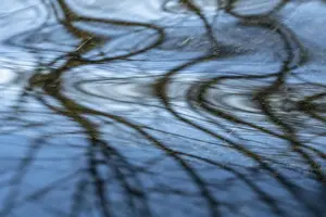European Urban Landscapes Prints: Reflection in a stream, Ostersund