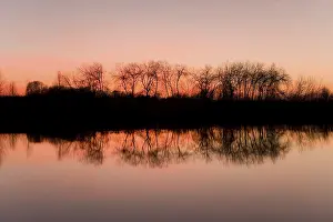 Northern Germany Nature Park Prints: Reflection of trees in a pond, against an evening sky