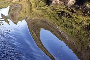 Abstract Water Reflection Prints: Reflection in water