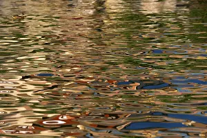 Water Surface Texture Prints: Reflection in the water surface