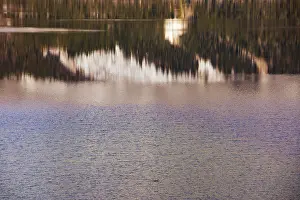 Water Surface Reflection Prints: Reflection on a water surface, water reflection