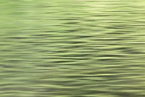 Water Mirror Effect Prints: Reflection on a wavy water surface