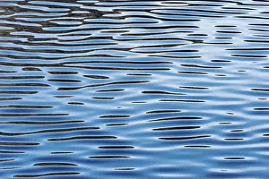 Reflections On Water Prints: Reflections on a calm sea surface