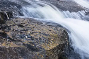 Dundret Nature Reserve Prints: Reflections on a rock at a rushing stream