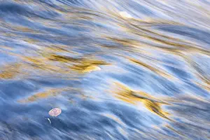 Scandinavian Water Scene Prints: Reflections in a rushing stream