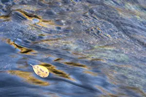 Scandinavian Water Scene Prints: Reflections in a rushing stream