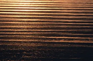 Water Surface Reflections Prints: Reflections on water
