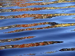 Framed Print : Colorful Water Reflections Print Framed Print : Colorful Water Reflections Print