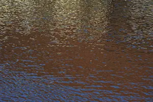 North Rhine Westphalia Germany Prints: Reflections on a water surface
