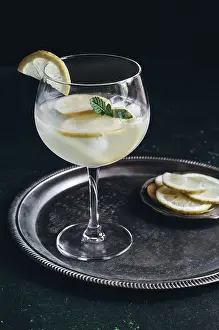Refreshing Cocktail Prints: A refreshing gin tonic with ice
