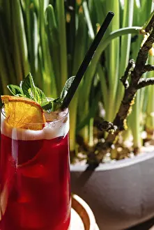 Images Dated 1st May 2024: Refreshing Red Cocktail Print