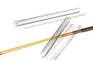 Images Dated 24th February 2024: Self-Expandable Stent Print