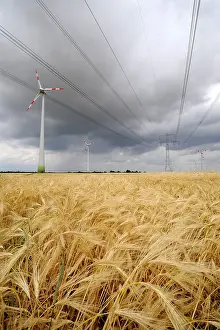Environmental Conservation Efforts Prints: Renewable energy, wind