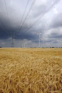 Organic Farming Prints: Renewable energy, wind