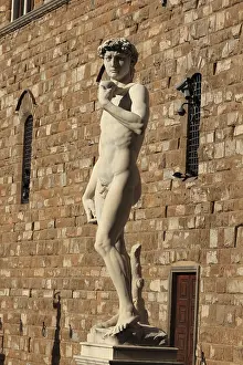 Palazzo Vecchio Florence Italy Prints: A replica of David, Michelangelo
