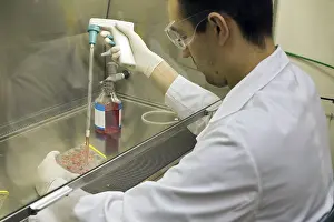 Caucasian Male Researcher Prints: Research laboratory