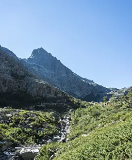 Mountain Range Europe Prints: Restonica river flowing at its source through mountain valley