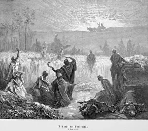 Historical Print: Return of the Ark