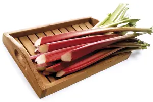 Indoor Food Still Life Prints: Rhubarb