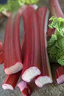 Deserted Kitchen Prints: Rhubarb