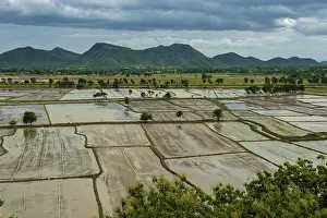 Rice Farming In Southeast Asia Prints: Rice fields from the temple complex