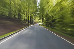 Horse Riding In Bavaria Prints: Ride on road through spring forest