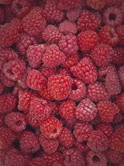 Freshly Picked Raspberries Prints: Ripe red raspberry texture background
