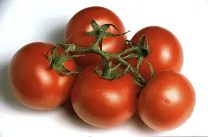 Vegetable Sorts Prints: Ripe tomatoes