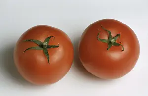 Vegetable Sorts Prints: Ripe tomatoes