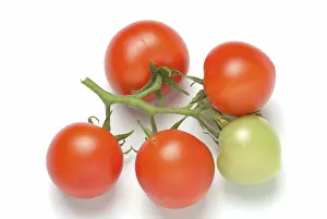 Ripe Tomatoes Prints: Ripe tomatoes
