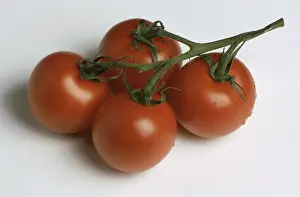 Ripe Tomatoes Prints: Ripe tomatoes