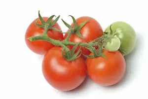 Ripe Tomatoes Prints: Ripe tomatoes