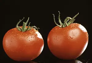 Ripe Tomatoes Prints: Ripe tomatoes