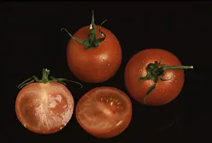 Ripe Tomatoes Prints: Ripe tomatoes