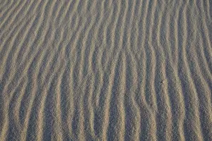 Sylt Island Prints: Ripples in sand, sand structure