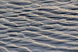 Wadden Sea Landscape Prints: Ripples, scale pattern in sand at low tide