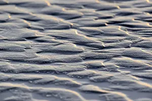Wadden Sea Landscape Prints: Ripples, scale pattern in sand at low tide