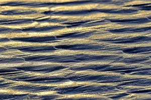 Wadden Sea Landscape Prints: Ripples, scale pattern in sand at low tide