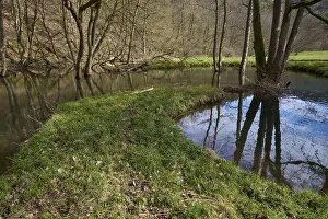 Central European Rivers Prints: River, Beaver dyke, Tree, Spring