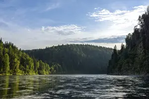 Open Air Countryside Views Prints: A river among a coniferous forest