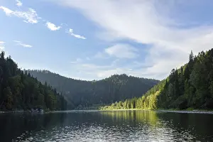 Travel Photography Mountains Prints: A river among a coniferous forest